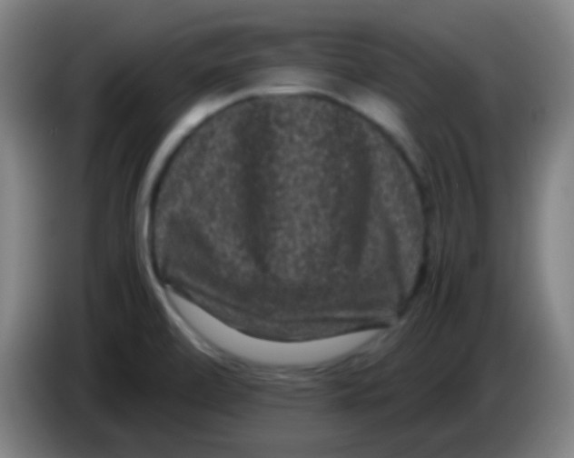 X0000085231472200703301714