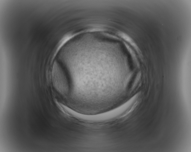 X0000085231473200703301714