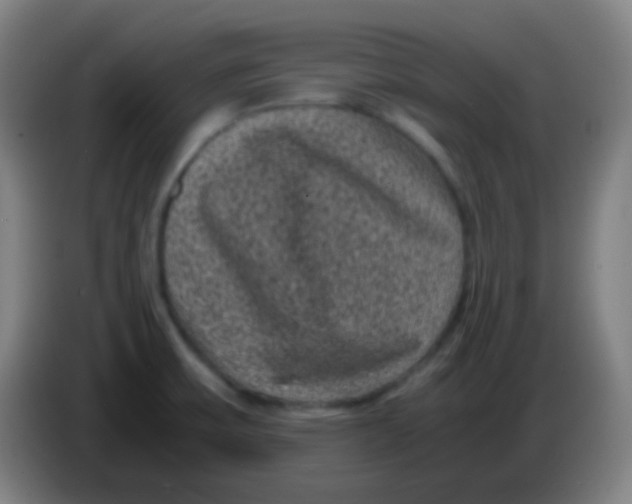 X0000085231475200703301714