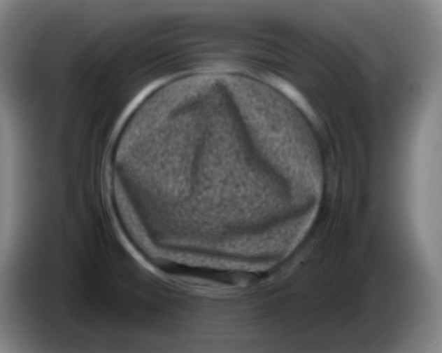 X0000085231476200703301714