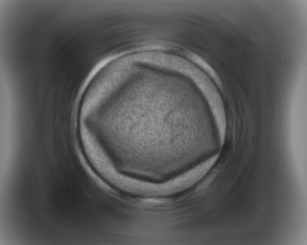 X0000085231483200703301714
