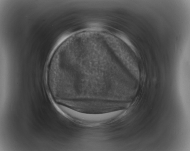 X0000085231484200703301714