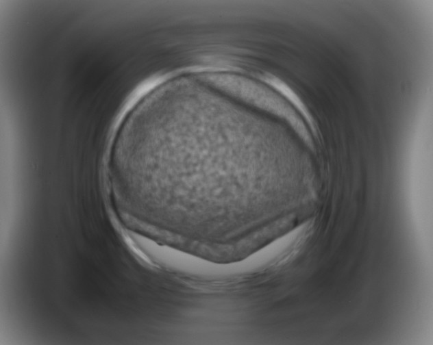 X0000085231485200703301714