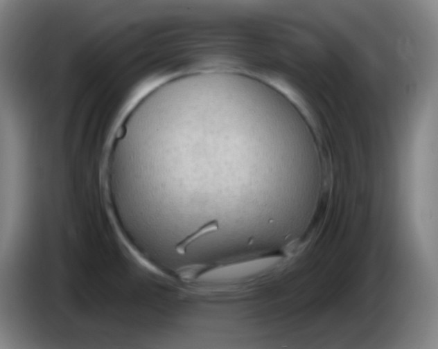 X0000085231486200703301714