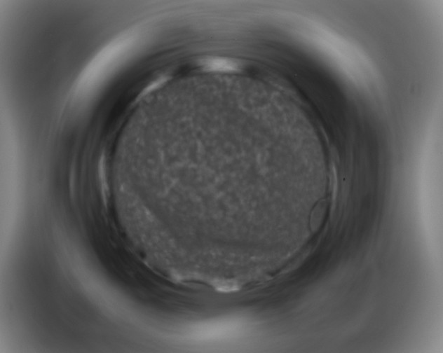 X0000085231487200703301714