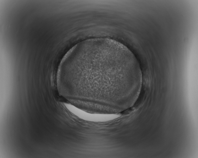 X0000085231490200703301713