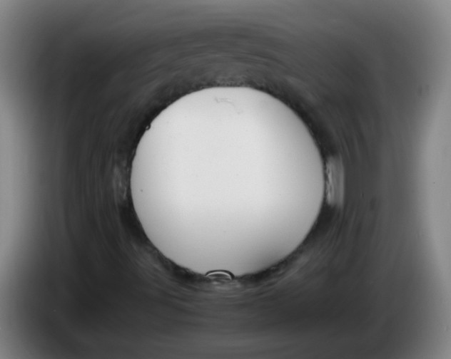 X0000085231491200703301713