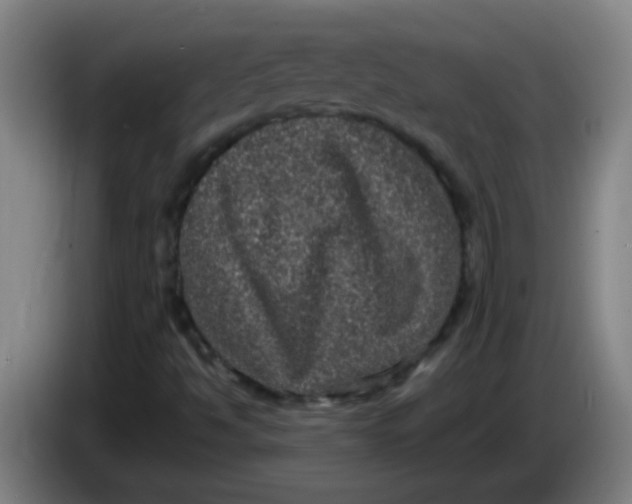 X0000085231494200703301713