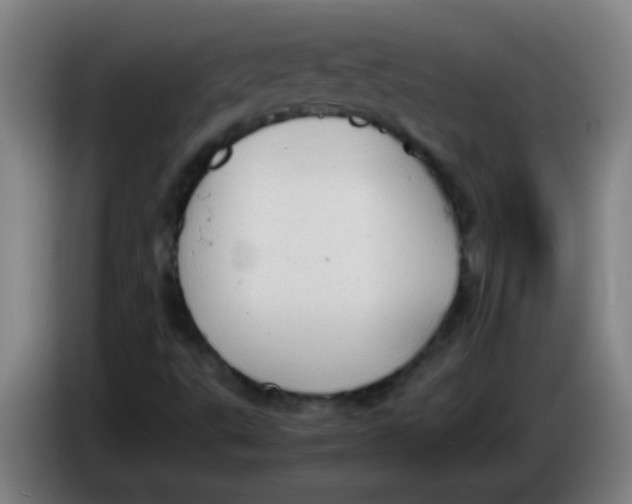 X0000085231495200703301713