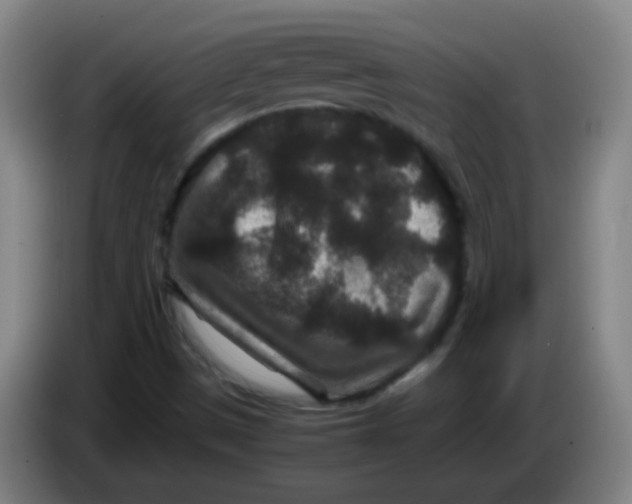 X0000085231497200703301713