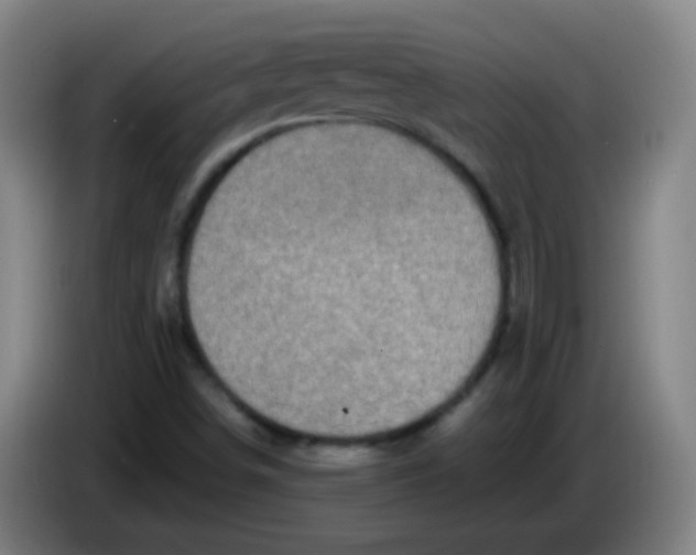 X0000085231498200703301713