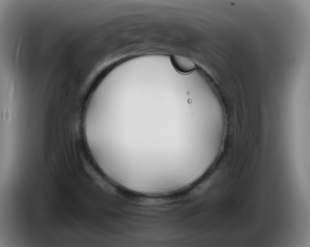 X0000085231499200703301713