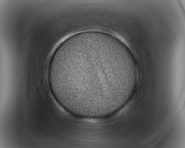 X0000085231500200703301713
