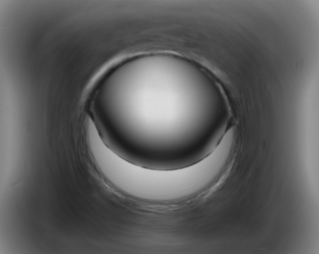 X0000085231502200703301714
