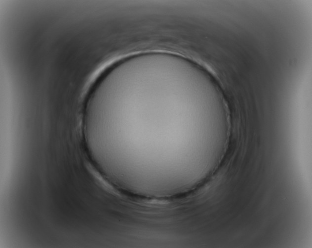 X0000085231503200703301714