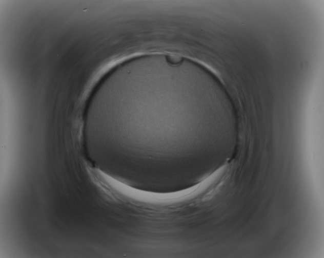 X0000085231507200703301714