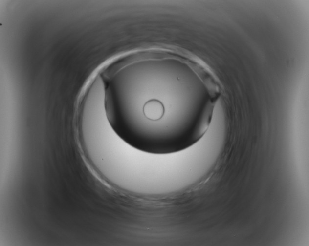 X0000085231508200703301714
