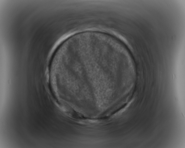 X0000085231509200703301714