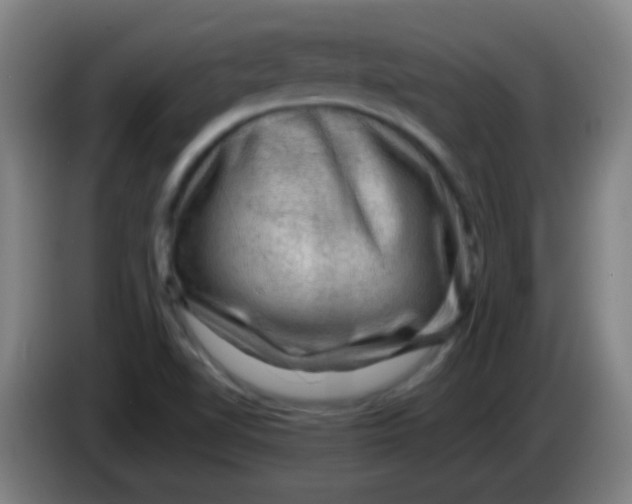 X0000085231510200703301714