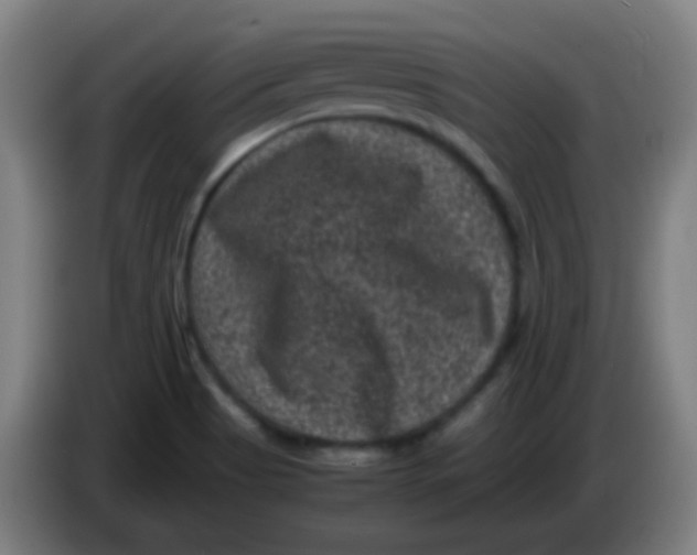 X0000085231513200703301714