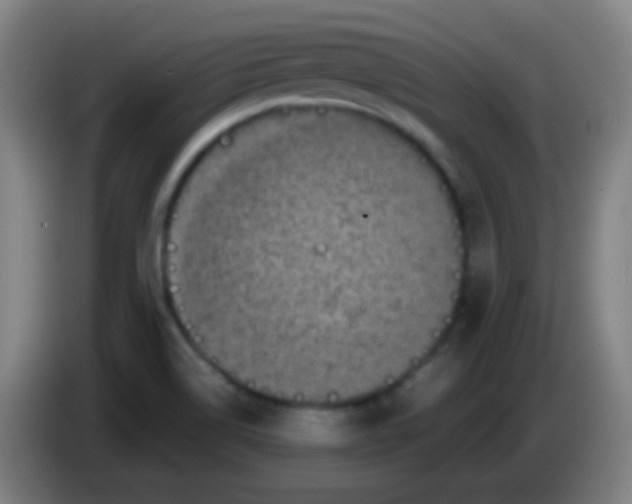 X0000085231514200703301714