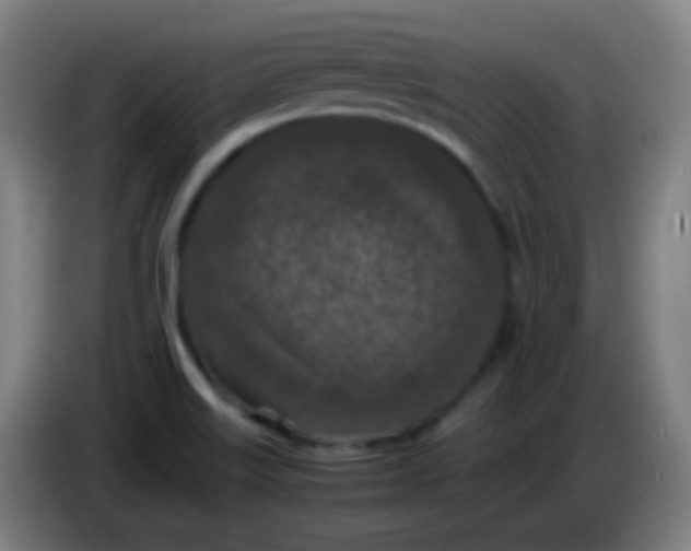 X0000085231515200703301714