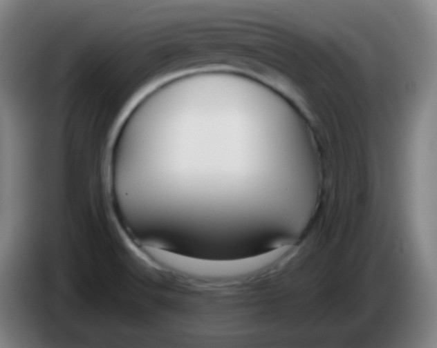 X0000085231516200703301714