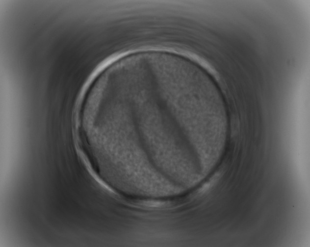 X0000085231517200703301714