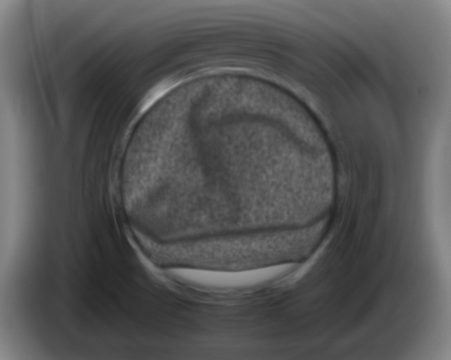 X0000085231521200703301714