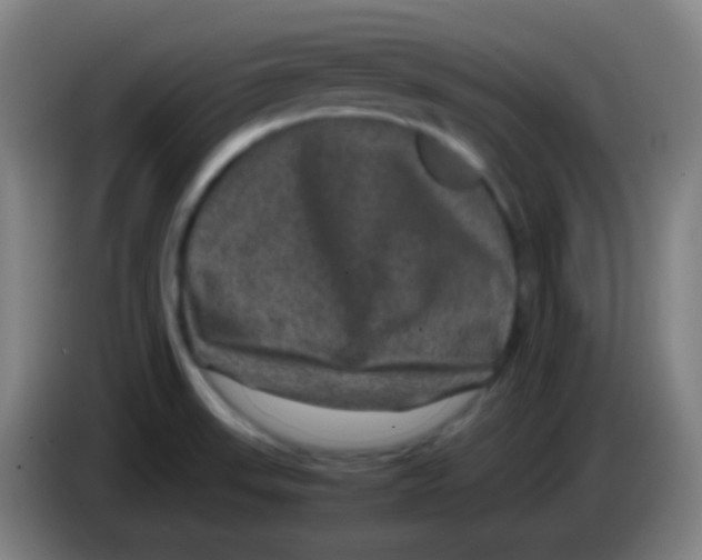 X0000085231523200703301714