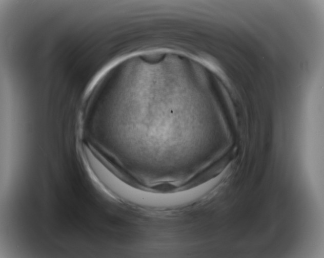 X0000085231524200703301714