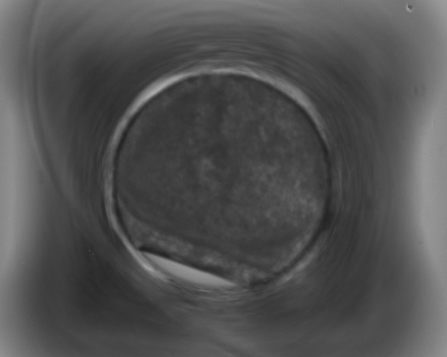 X0000085231525200703301714
