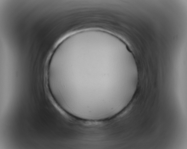 X0000085231526200703301714