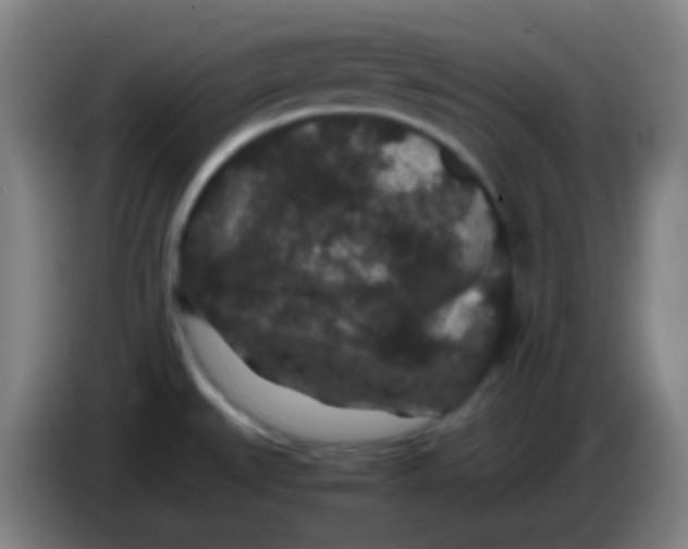 X0000085231527200703301714