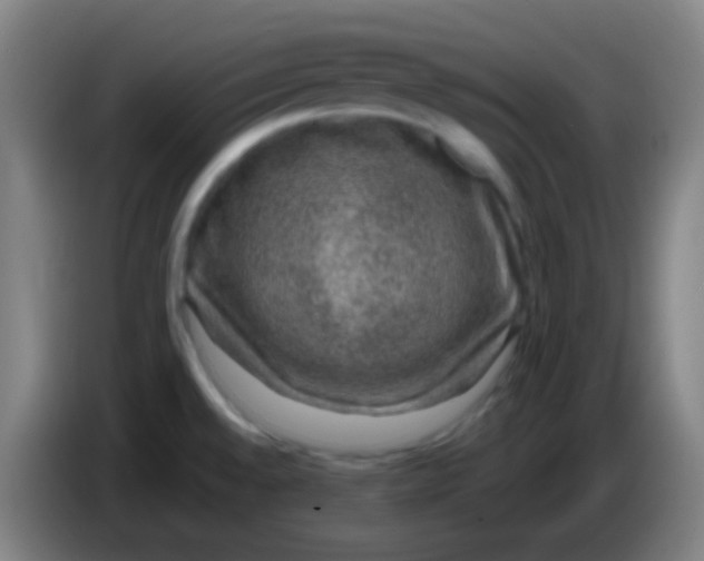 X0000085231528200703301714