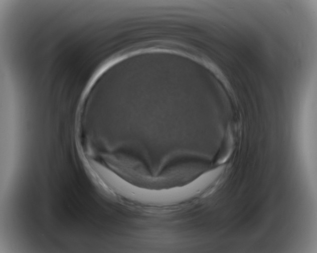 X0000085231530200703301714