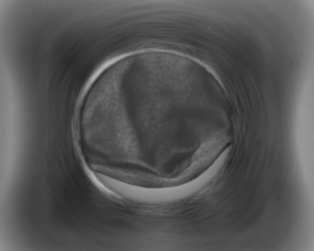 X0000085231531200703301714