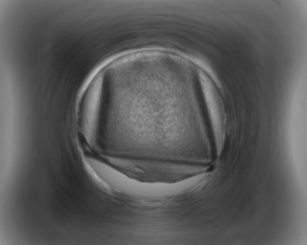 X0000085231532200703301714
