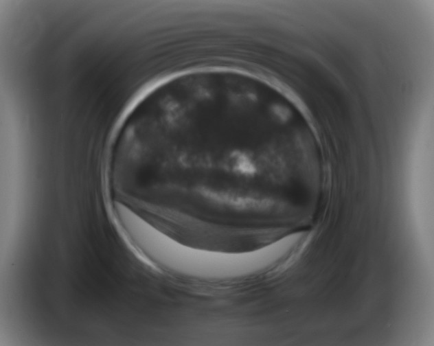 X0000085231533200703301714