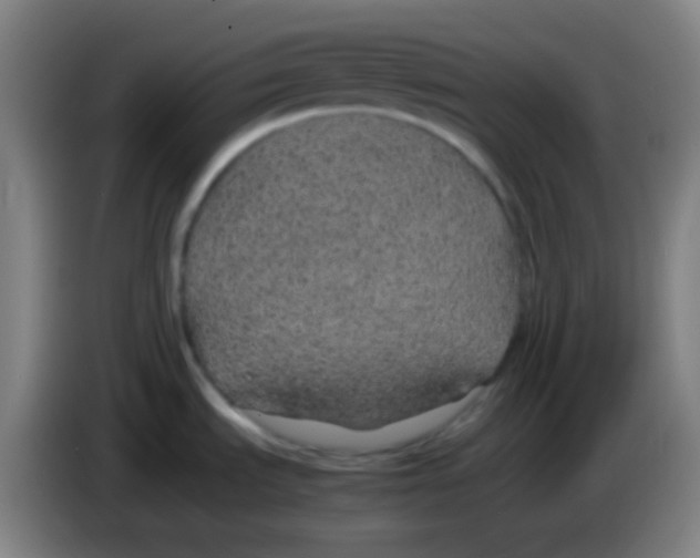 X0000085231535200703301714