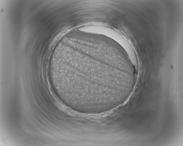X0000085230001200704092009