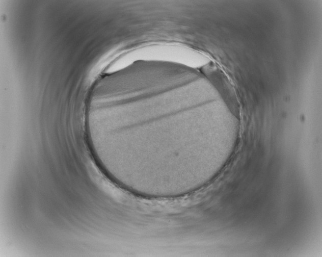 X0000085230005200704092009