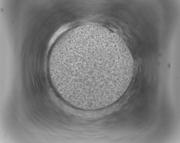 X0000085230006200704092009