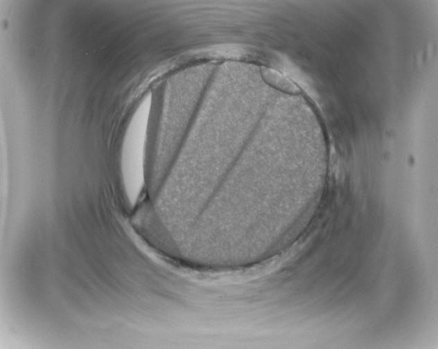 X0000085230013200704092009