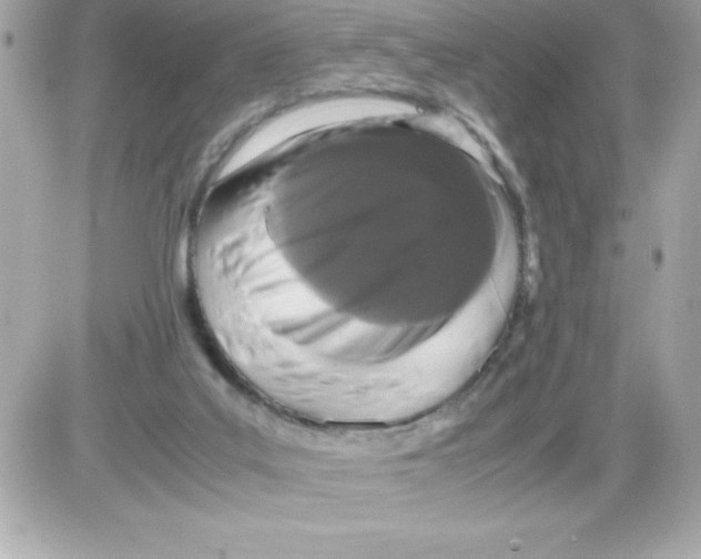 X0000085230019200704092009
