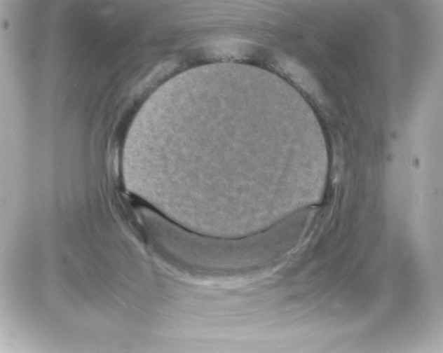X0000085230021200704092009