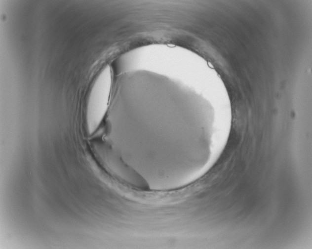 X0000085230023200704092009
