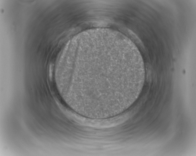 X0000085230026200704092009