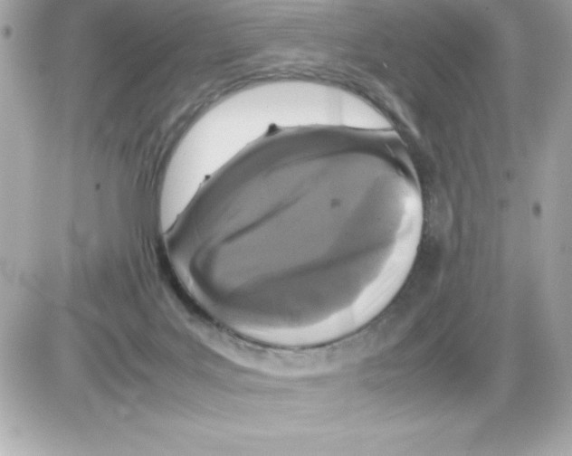 X0000085230027200704092009