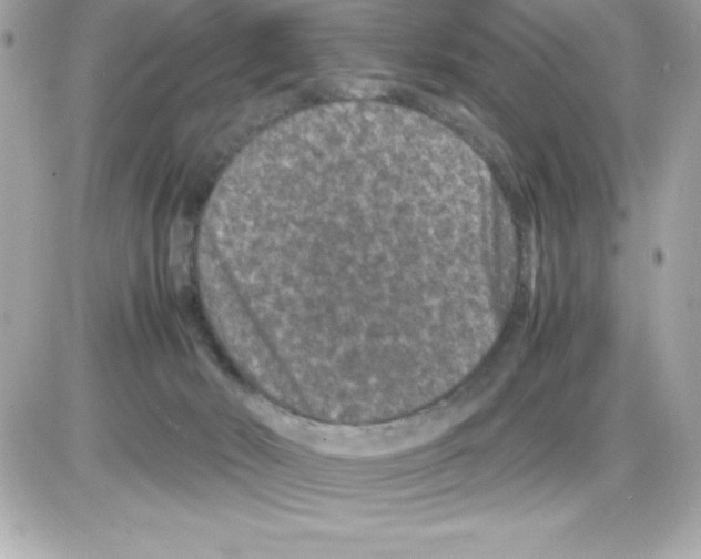 X0000085230030200704092009